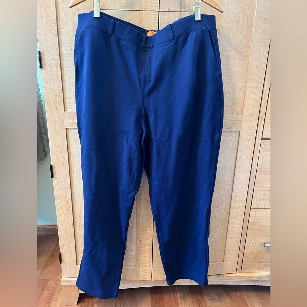 Mary Crafts blue pull on, washable suit pants